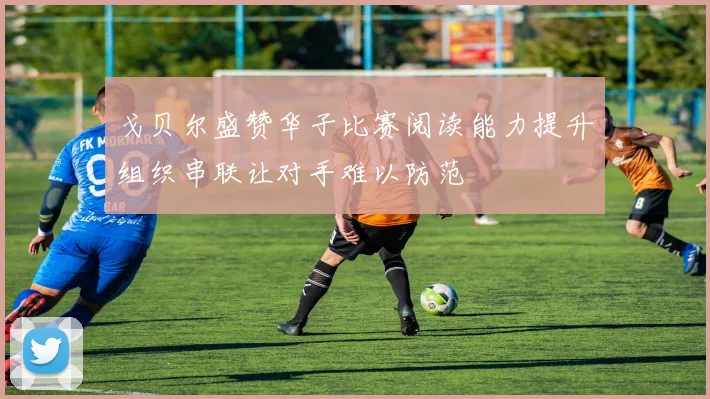 戈贝尔盛赞华子比赛阅读能力提升组织串联让对手难以防范