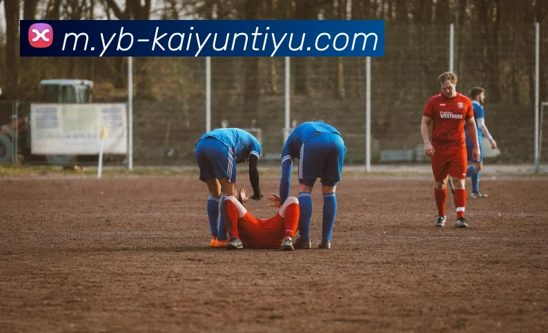 多媒体互动体验