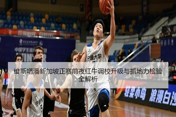 维斯塔潘新加坡正赛前夜红牛调校升级与抓地力检验全解析 - kaiyun